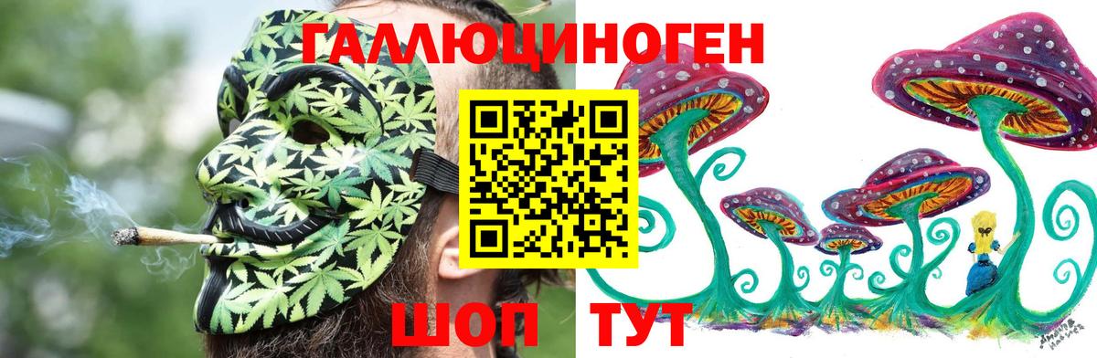 Псилоцибиновые грибы Psilocybine cubensis  Вход с VPN  Гагарин 